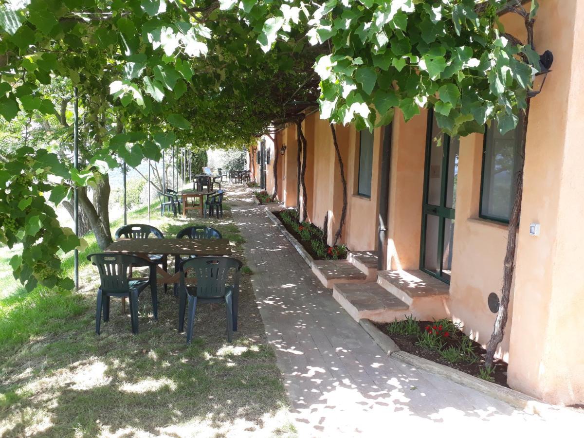 Agriturismo Le Serre Riparbella Extérieur photo