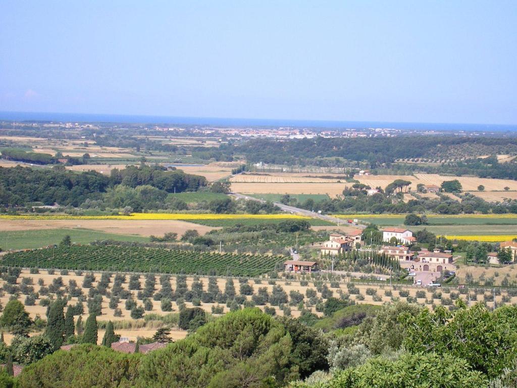 Agriturismo Le Serre Riparbella Extérieur photo